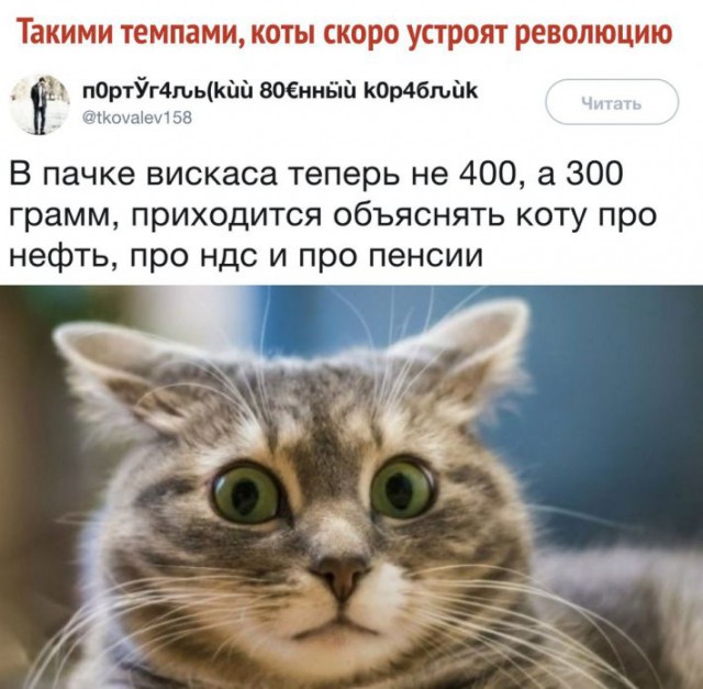 Фото, соц-сети и картинки с надписями