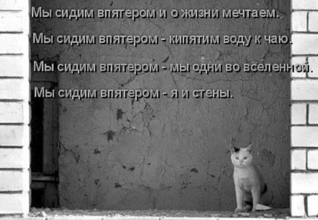 Чемпионат России по футболу 2018-2019(часть Vlll)