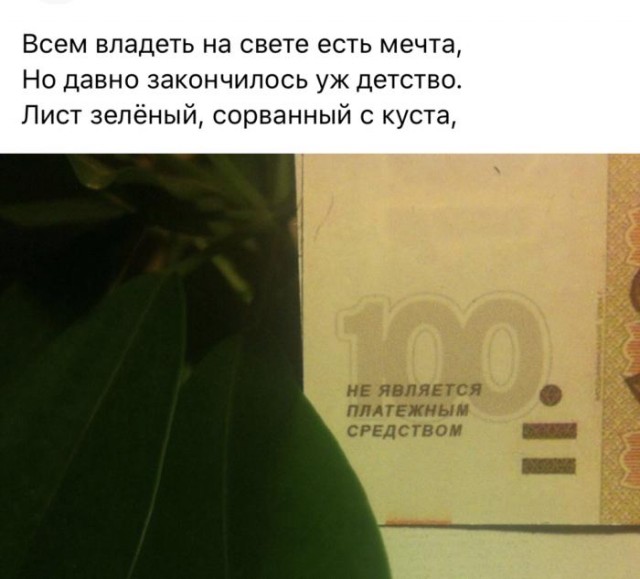 Вижу Рифмы IV