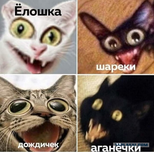 Немного картинок с надписями и без - 33