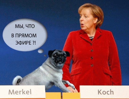 Фотожаба: Ангела Меркель