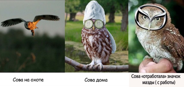 На работе и дома.