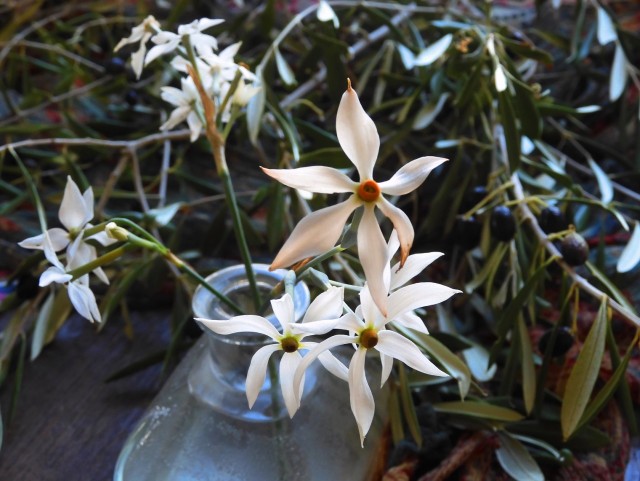 Мясо (не) по-французски