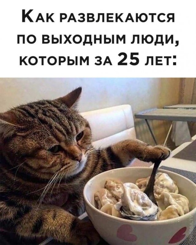 Немного картинок для настроения 02.11.20