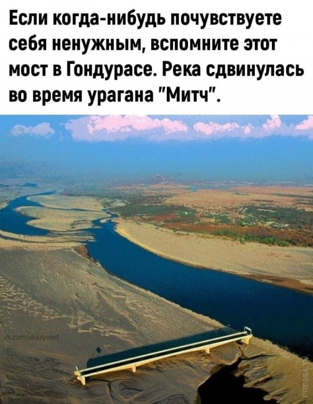 Картинки и мемы для настроения 010