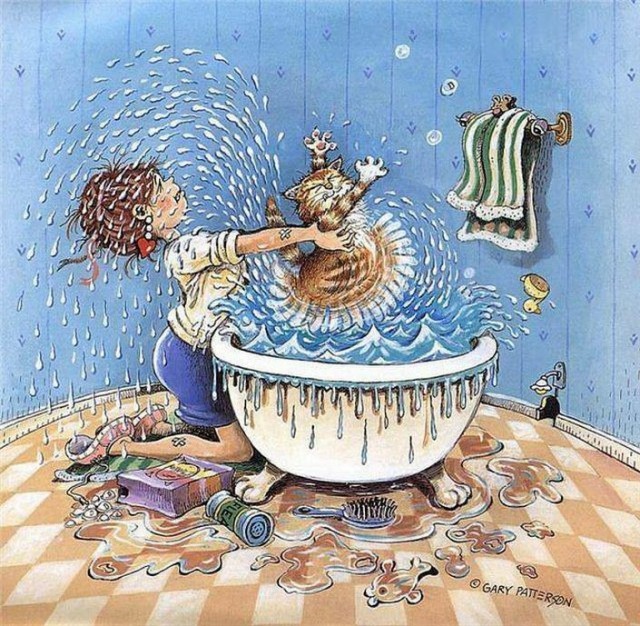 С котопятницей! Улыбнемся?