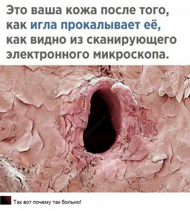 Картинки с надписями и всякие жизненные фразы 9.01.21