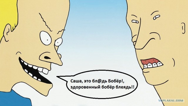 Саша, это бл@дь Бобёр!