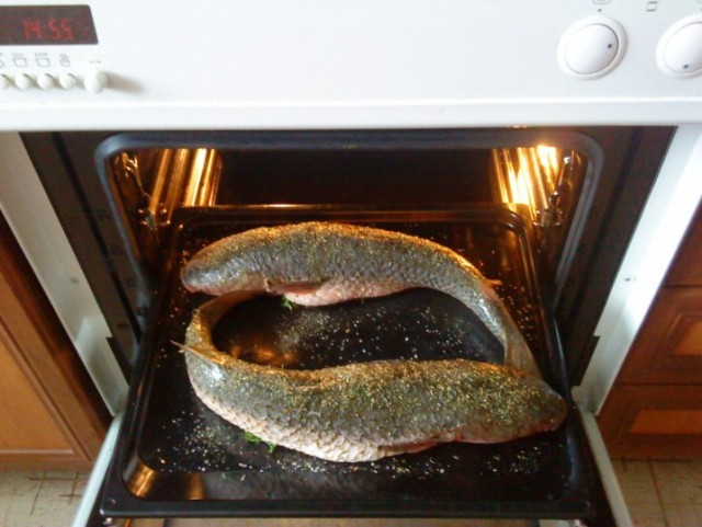 Все из рыбы!