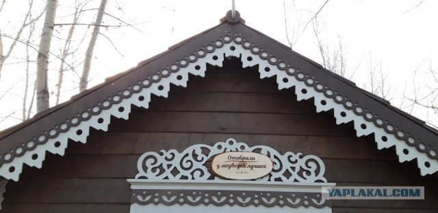 Живу в Красноярске