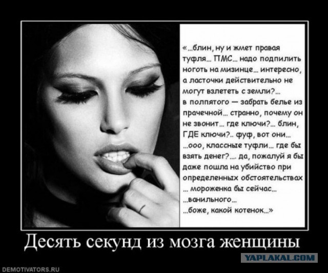 Пятница. И немного слегка пошлых картинок с надписями и без 16+ (16.07))
