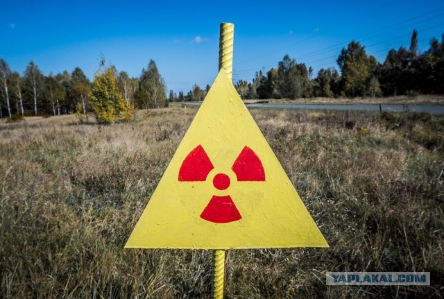 В Россию ввезут свыше тысячи тонн урановых отходов из Франции. Greenpeace протестует