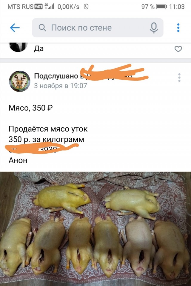 И ведь это действительно так