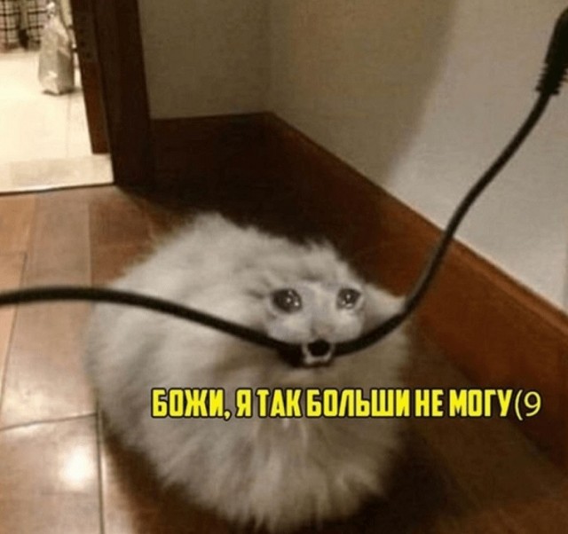 Так себе картинки 23.02.22