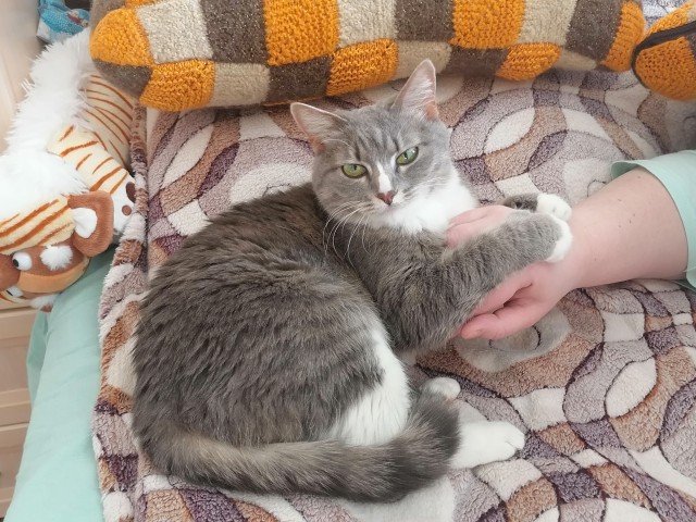 А что это мы котовторник не начинаем? Время пришло!