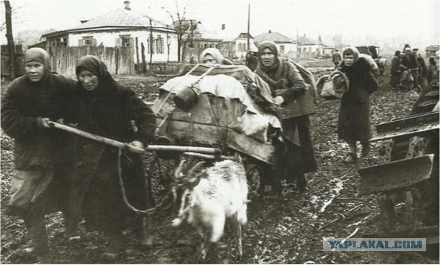 Элитные беженцы