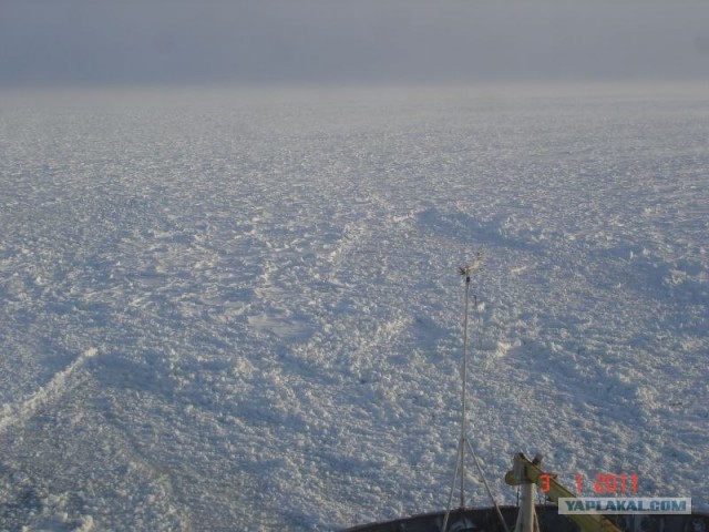 Содружество (ледяной плен 2010-2011)