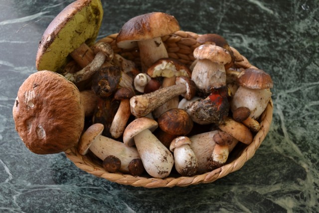 Деревня в которой я живу