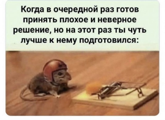 Картинки и мемы, всем хороших выходных