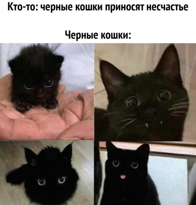 Немного картинок для настроения - 114