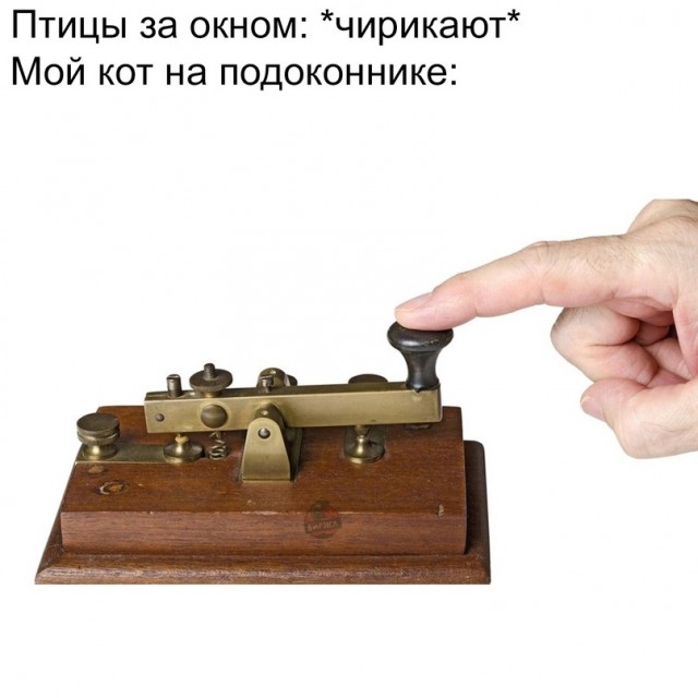 Картинки и мемы для настроения - 119