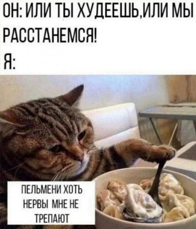 Юмор в картинках и без