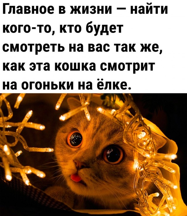 Так себе картинки 17.12.22