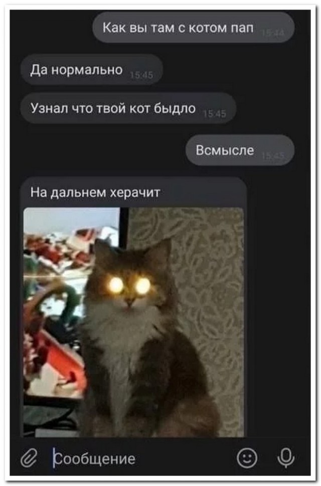 Забавные комментарии из социальных сетей 30.01.23