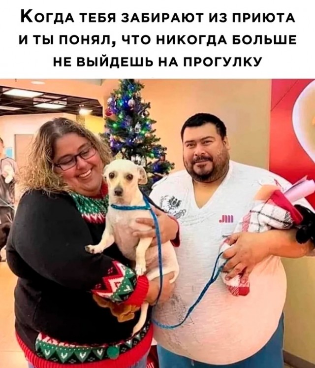 Картинки и мемы для настроения - 137