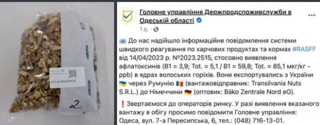 Победная поступь идиотизма по планете – том 12