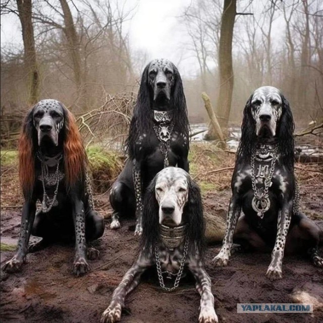 Музыка и музыканты: кое что о песнях Black Sabbath