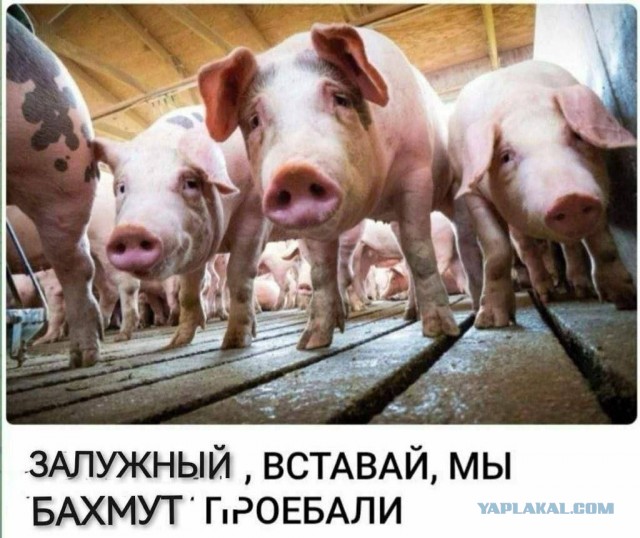 Залужный получил ранения при ракетном ударе