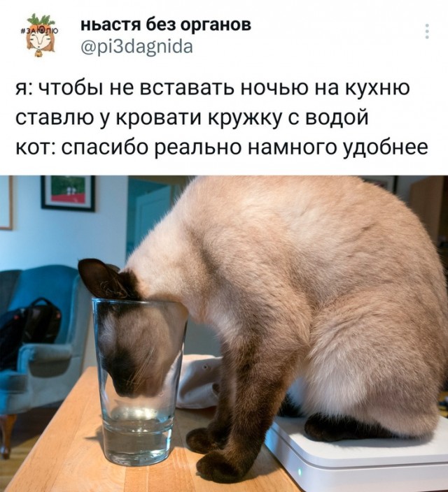 Картинки и мемы, всяко разно - 181