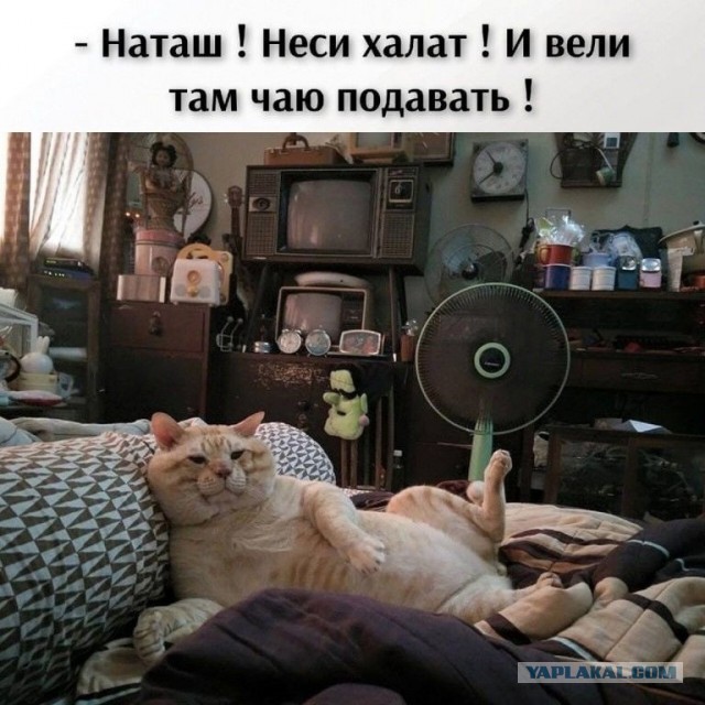 Развелась из-за запаха