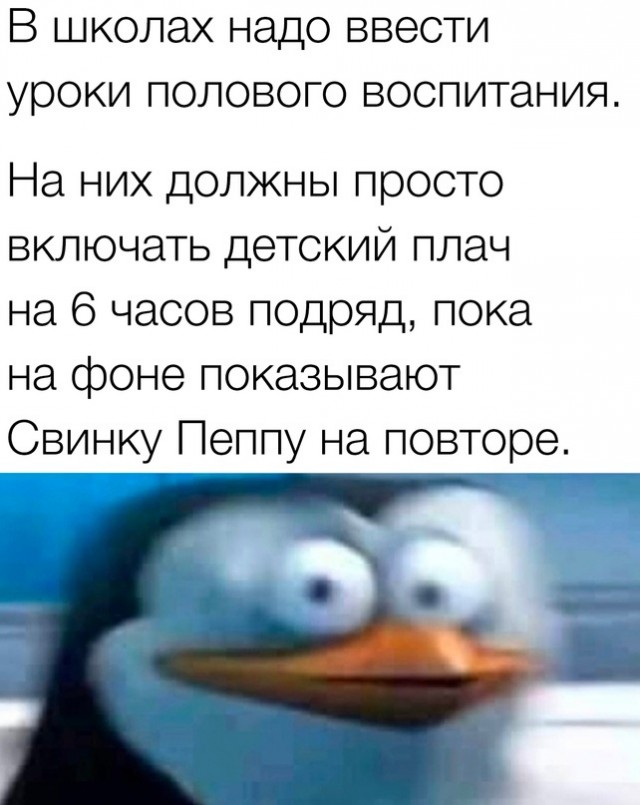 Так себе картинки 29.10.23
