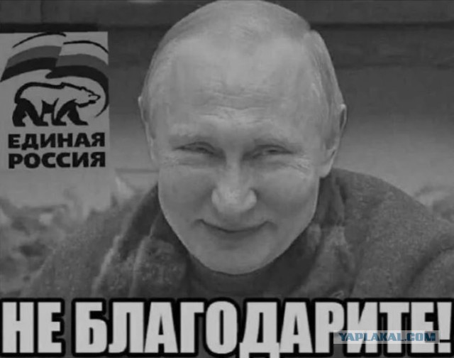 Брачные игры приматов