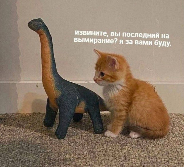 Нуштош 15.12.2023
