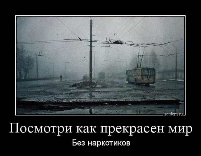 Приняли за наркомана: в Петербурге уволили кондуктора, улыбавшегося пассажирам⁠⁠