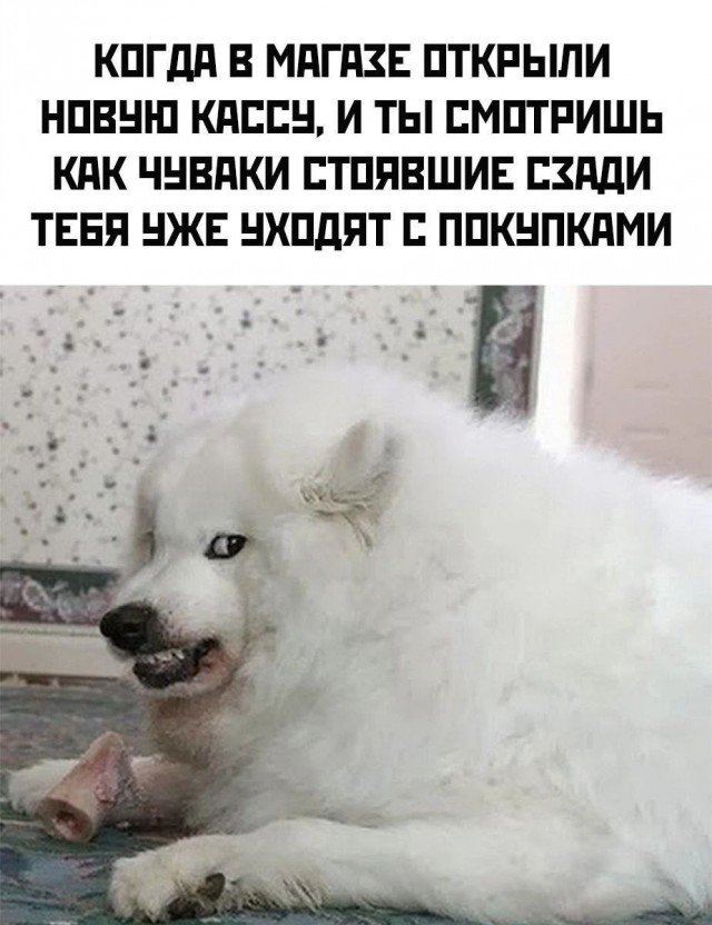 Завалялось тут случайно немного забавных картинок
