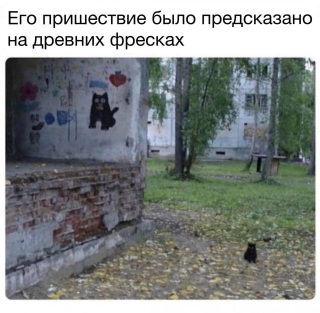 Никакие картинки и тексты