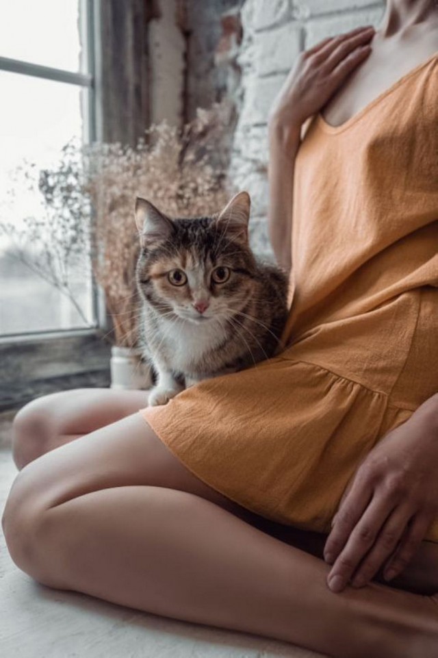 ФотоВинегрет