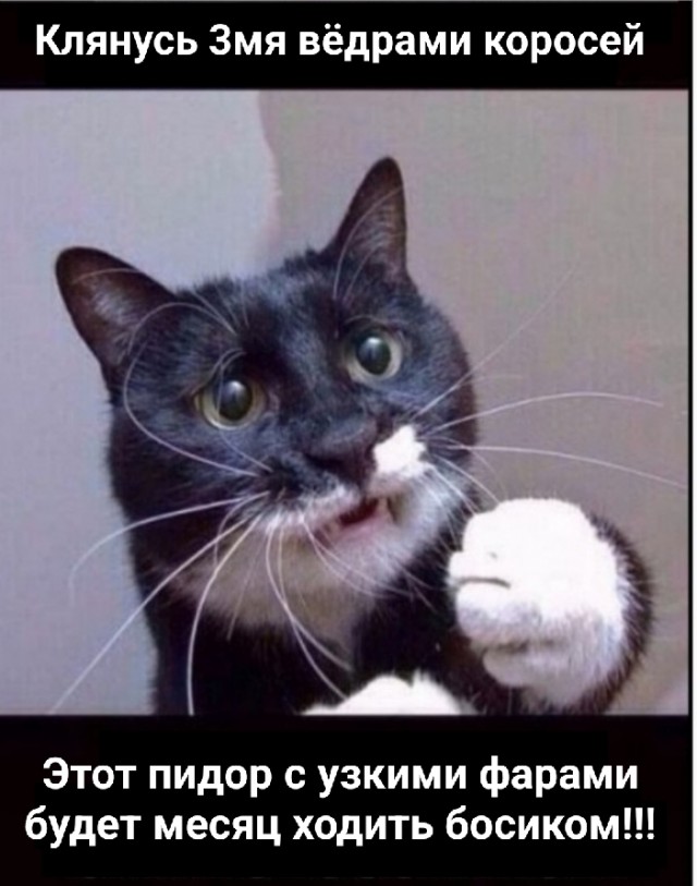 Его подставили
