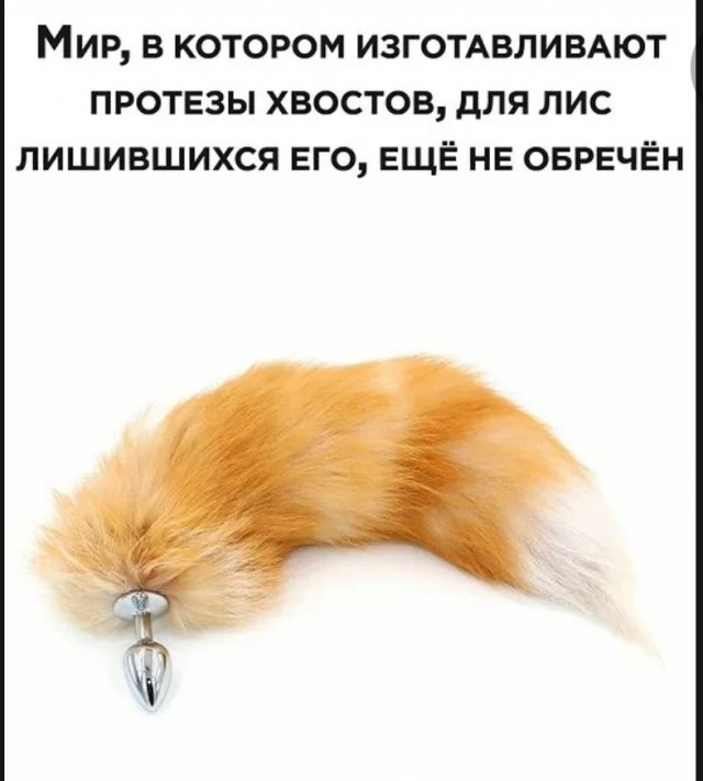 Квадроберы. Инсайд