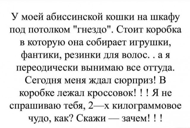 Картинки разные с надписями и без