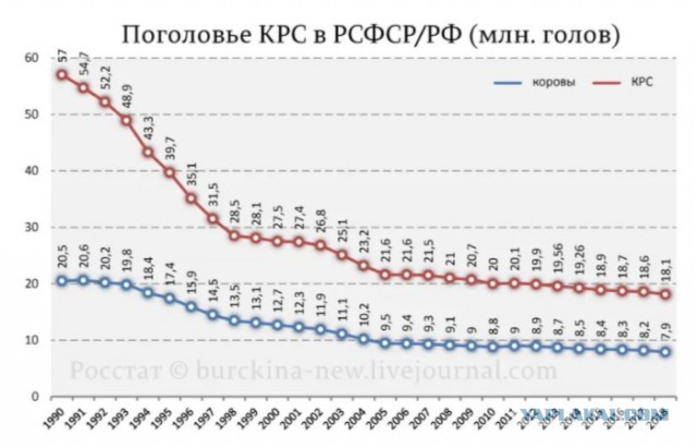 90 тонн сливочного масла приехало в РФ из ОАЭ. Впервые в истории