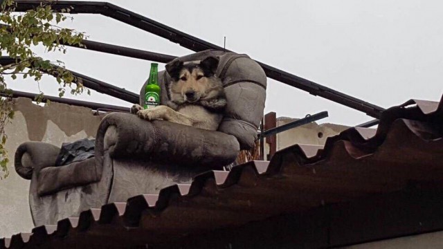 На первое время