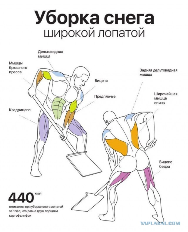 Российский атлет установил уникальное достижение, преодолев 1111 км за 58 часов без сна