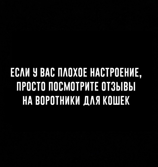 Так себе картинки 02.03.25