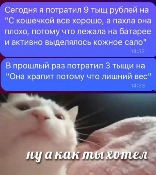 Так себе картинки 11.03.25