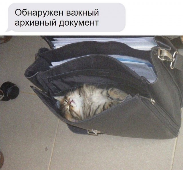Так себе картинки   "Финал"